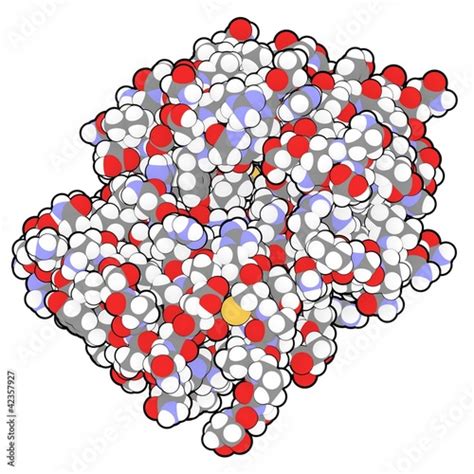 Ricin vaccine molecule Stock Illustration | Adobe Stock
