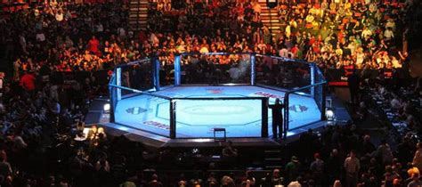 UFC Betting Preview and Guide for the 2023 Events | MyBookie