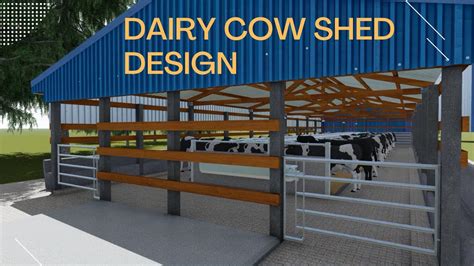 Cow Shed Plans and Design | Dairy Farm Design - YouTube