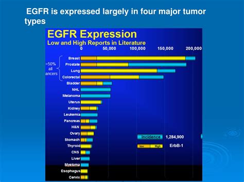 PPT - LUNG CANCER AND EGFR PowerPoint Presentation, free download - ID ...