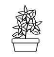 Cute flower and leafs plant in ceramic pot Vector Image