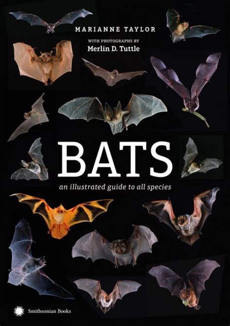 Bats: An Illustrated Guide to All Species (Photographed by Merlin Tuttle)