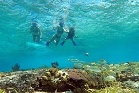 Things to do in Cozumel: 10 Best Tours & Activities in 2021 | GetYourGuide