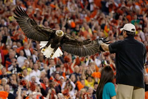 Why Auburn doesn’t technically have 2 mascots - SBNation.com