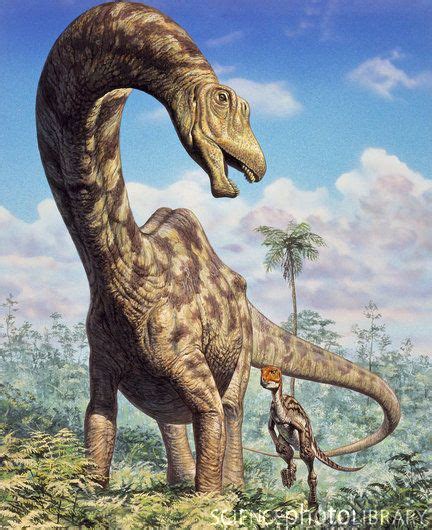 Supersaurus by Mark Hallett | Dinosaur images, Dinosaur pictures, Dinosaur fossils