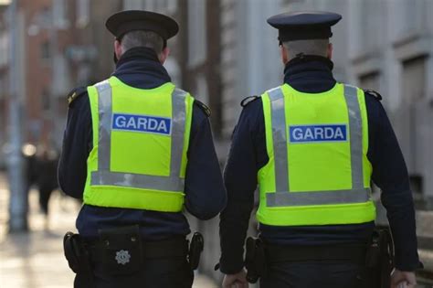 Gardai seize drugs worth €320,000 during separate searches in Limerick ...