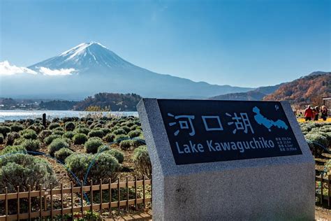 Scenic Spots of Mt Fuji and Lake Kawaguchi 1 Day Bus Tour ...