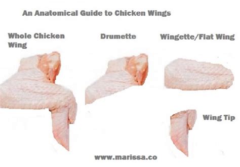 Parts Of A Chicken Wing Diagram