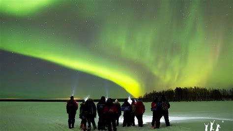 Aurora Snowshoeing in Forests | Visit Finland