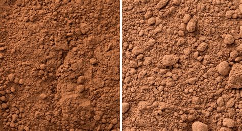 What's the Difference Between Cacao vs Cocoa? | Thrive Market