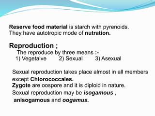 General Account of Chlorophyta & Charophyta | PPT