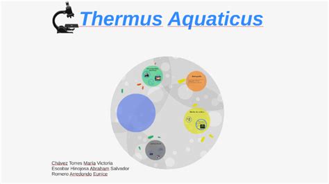 Thermus Aquaticus by Eunii Tuu on Prezi