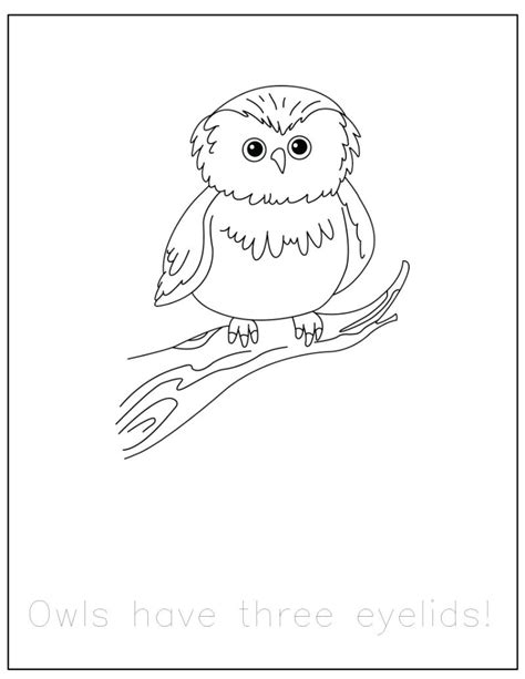 {FREE} Forest Animals Coloring Pages with Traceable Fun Facts ...