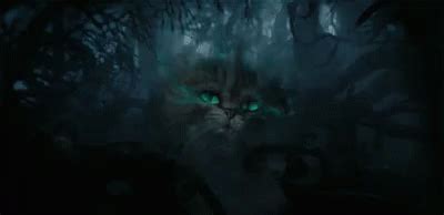 Alice In Wonderland Cheshire Cat GIF - Alice In Wonderland Cheshire Cat Creepy - Discover ...