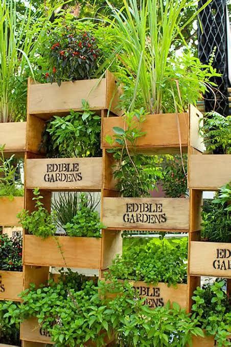 Edible plants for Balcony Vertical garden - Urban plants - Urban Plants™