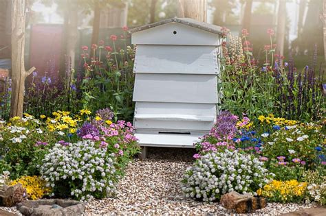 Wildlife garden ideas: 25 ways to transform your plot into a nature-friendly space | GardeningEtc