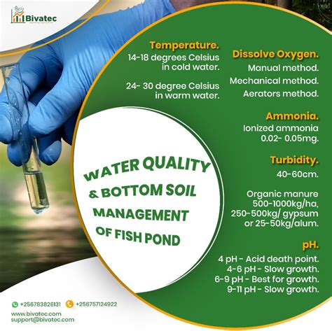 Effective Water Quality Management for Fish Farming