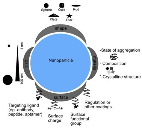 Nanomaterials | Free Full-Text | Interactions of Nanoparticles and Biosystems: Microenvironment ...