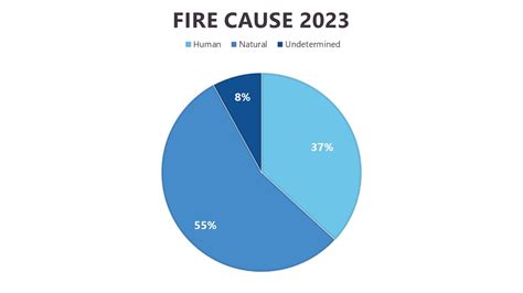 Provincial Wildfire Status Update – July 10, 2023 – BC Wildfire Service