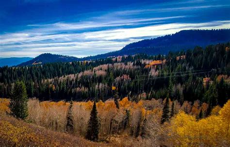 Vistas and Views | Wasatch State Park