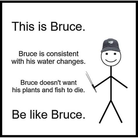 Be like Bruce : r/Aquascape