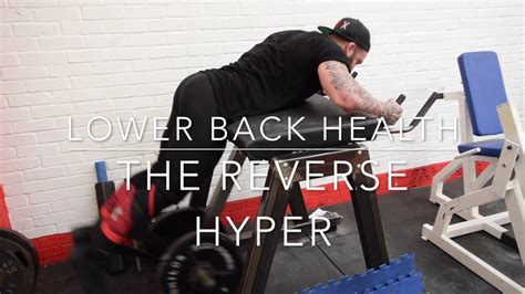 How to use the reverse hyper extension for lower back pain - YouTube