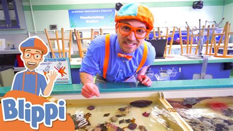 Blippi Visits a Zoo & Aquarium! | Learn Zoo Animals for Kids ...