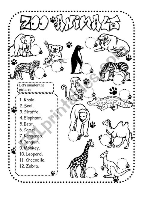 Zoo Animals Activity Sheets