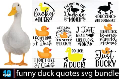 Funny Duck Quotes Svg Bundle Graphic by shahinrahman312001 · Creative ...