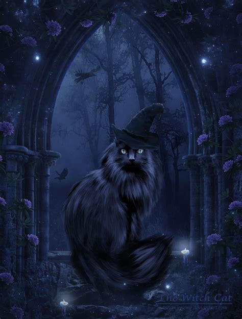 The Witch Cat (Remastered) by Melanienemo on DeviantArt