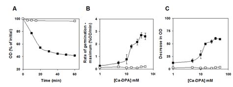 2A-C. Ca-DPA germination of C. perfringens spores. A) Heat activated ...