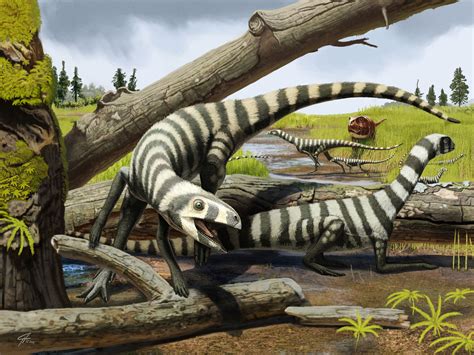 Asilisaurus kongwe, an early bird-line archosaur from Tanzania. Image ...