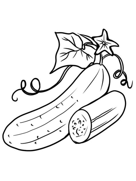 Cucumber Coloring Pages - Best Coloring Pages For Kids | Páginas para colorir, Livro de colorir ...