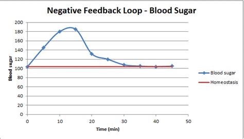 Environmental Science: Blood Sugar Negative Feedback Loop