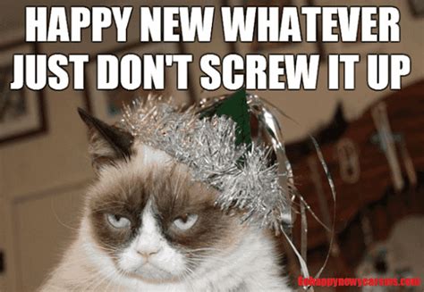 a grumpy cat wearing a tinsel crown on top of it's head