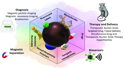 Diagnostics, therapy, drug and gene delivery, biosensor, and magnetic... | Download Scientific ...