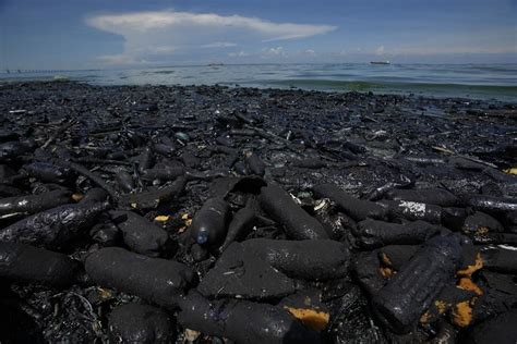 Pollution in Venezuela's Lake Maracaibo threatens life in one of the ...