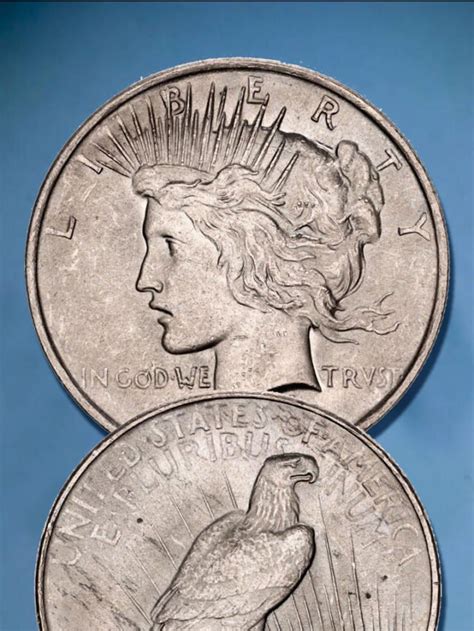 Top 9 Most Beautiful US Coins Designs Ever - Damia Global Services ...