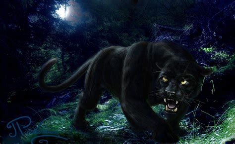 Jumping Black Panther Animal Wallpapers - Top Free Jumping Black ...