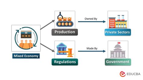 Mixed Economic System: Definition, Examples, Working, Features