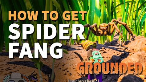 How to get Spider Fang Grounded - YouTube