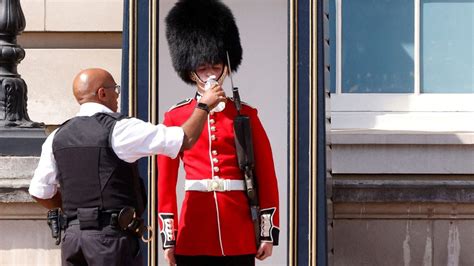 UK Heatwave: Queen's Guard Receives Water to Drink Amid Record-breaking ...