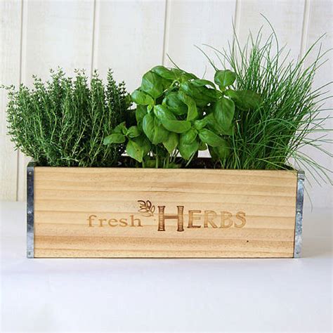 'fresh herbs' window box in natural wood by plant theatre | notonthehighstreet.com