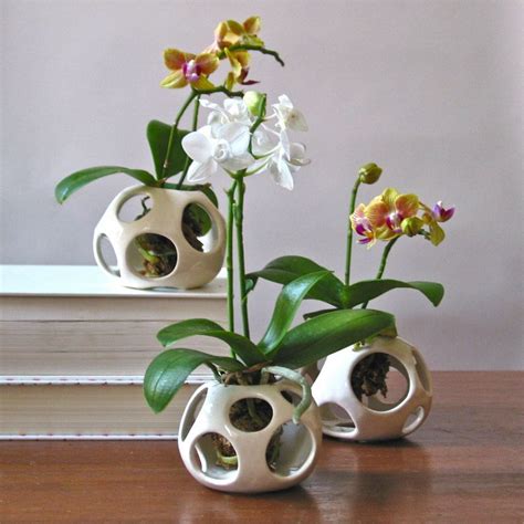 8) Creative indoor gardening ideas | Miniature orchids, Orchid planters ...