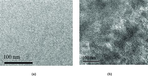 TEM images of (a) PMMA microspheres and (b) PANIcoated PMMA microspheres. | Download Scientific ...