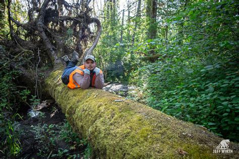 This guy striking a pose for a wildlife trail camera will make your day