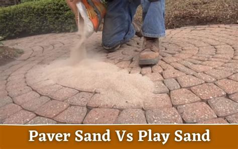 Paver Sand vs Play Sand: The Ultimate Guide about Sand!