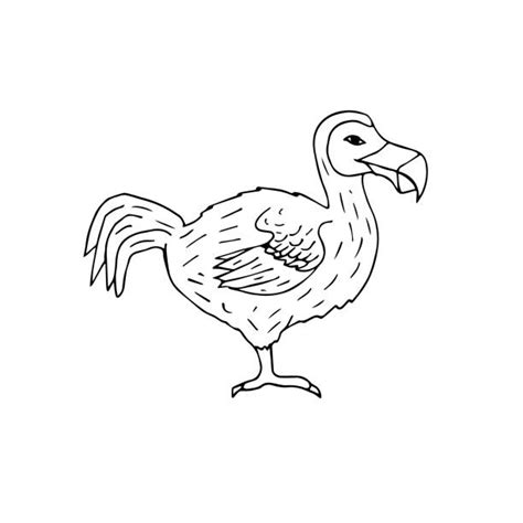 Dodo Cartoon Illustrations, Royalty-Free Vector Graphics & Clip Art - iStock