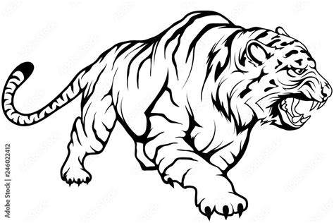 Tiger Drawing Black And White