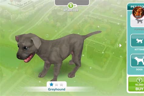 What Do Dogs Do In Sims Freeplay: Unveiling Canine Adventures